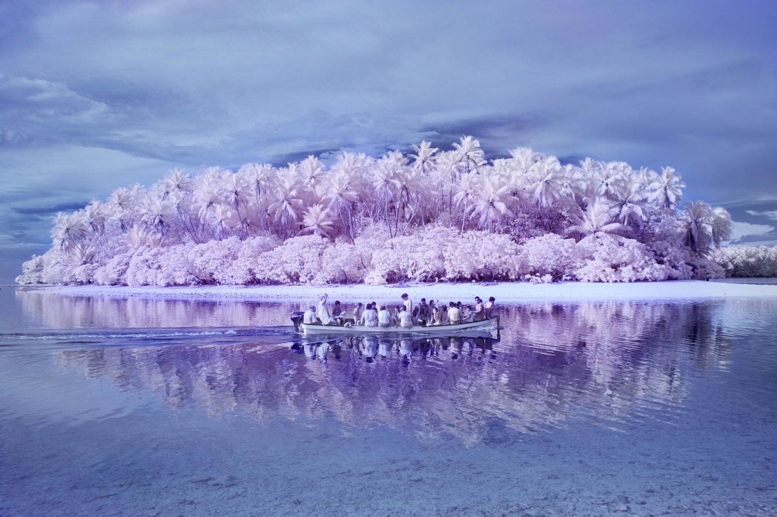 On Island of the Colorblind, Paradise Has a Different Hue